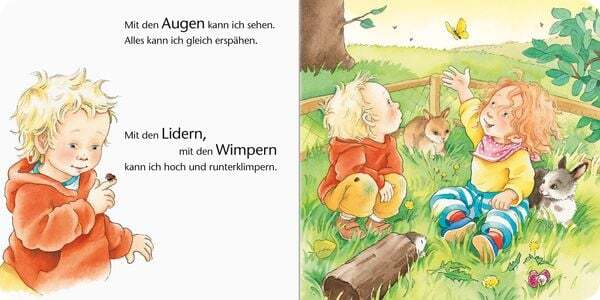Thumbnail - Augen, Bauch Und Hände: Körperbuch Ab 18 Monate, Pappbilderbuch