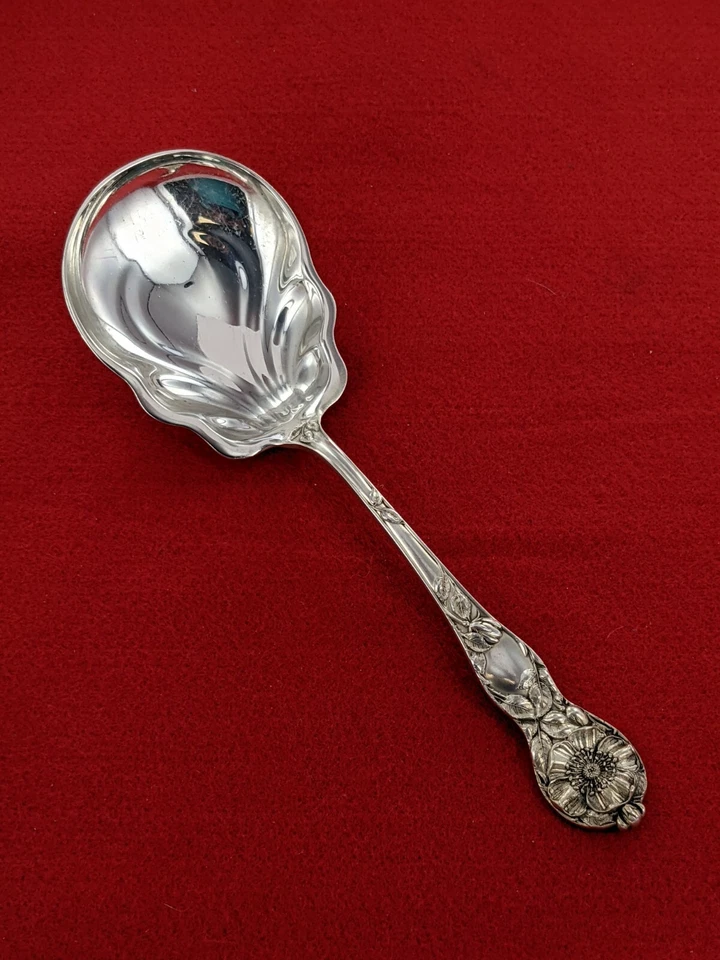 Watson Co 1905 Wild Rose plata esterlina 8 5/8" cuchara bayas sin monograma Foto 3 de 4