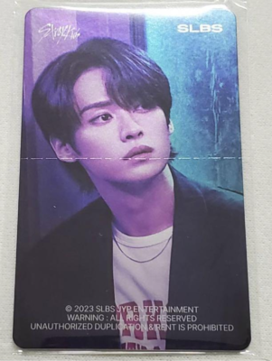 STRAY KIDS X SLBS Samsung Galaxy Z Flip5 Metal OFFICIAL PHOTO CARD