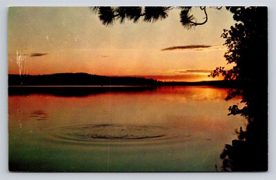 DAMAGED Greetings from Bemus Point New York NY Vintage Postcard Scenic View