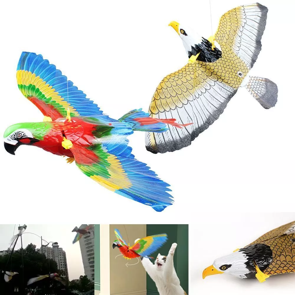 Electronic parrot clearance toy