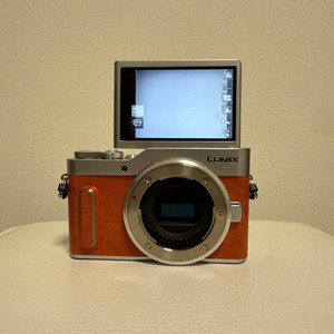 Lumix Gf10 for sale | eBay