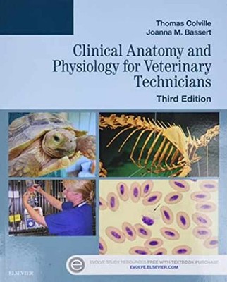 Clinical Anatomy and Physiology for - Paperback, by Colville DVM MSc - Very Good