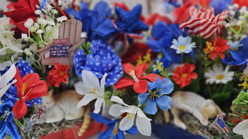 Cat Lovers Patriotic Florals/Two Options/Belly up Kitten or Lying Down Cat - Picture 2 of 11