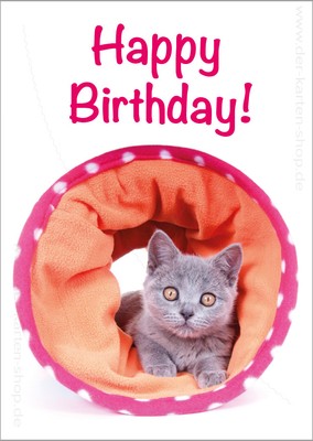 geburtstagskarte karte postkarte grusskarte bkh katze katzchen happy birthday ebay