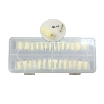 Dental Caries Remove Teeth Decayed Removing Model Dentist Student Test Practise