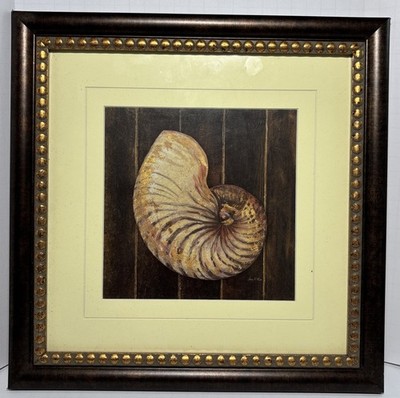 Arnie Fisk Framed Nautilus Shell Art In Motion Framed Art
