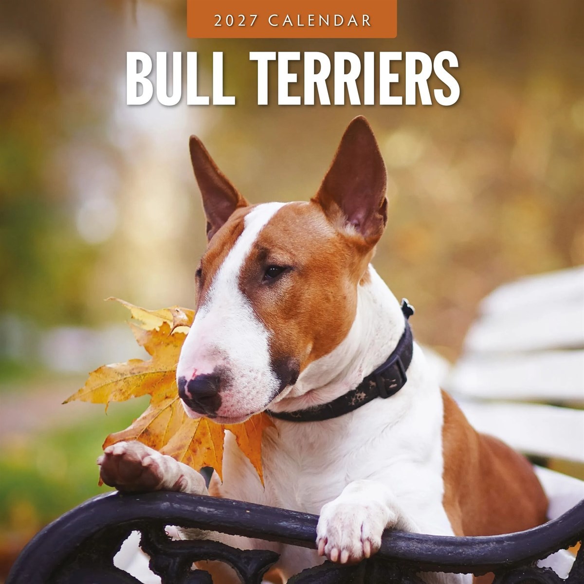 Bull Terriers Calendar 2027, Wall Calendars, Month To View, Dogs, Gift - Image 2