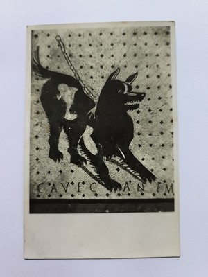 NAPLES R. NATIONAL MUSEUM - CHAIN DOG - QUARRY CANEM POSTCARD F.LLI ALINARI