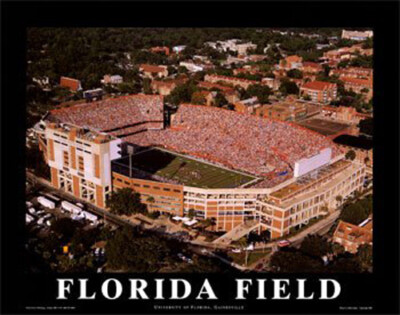 Griffin Stadium Florida Gators 8 X 10 Aerial Print By Mike Smith