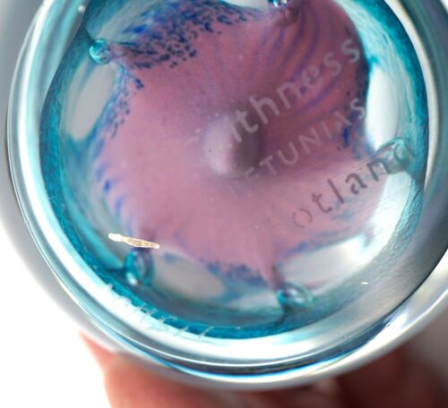 Mundgeblasene Caithness Schottland Petunien Kunst Glas Briefbeschwerer Blume signiert & # - Bild 10 von 13