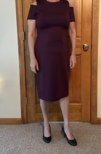 Calvin Klein Plum Color Sheath Dress Size 10