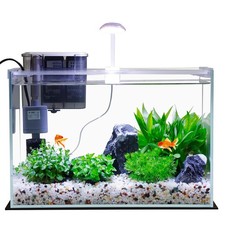 3 Gallon Glass Betta Fish Tank Starter Kit with Filter, LED Lights, Small Aquari