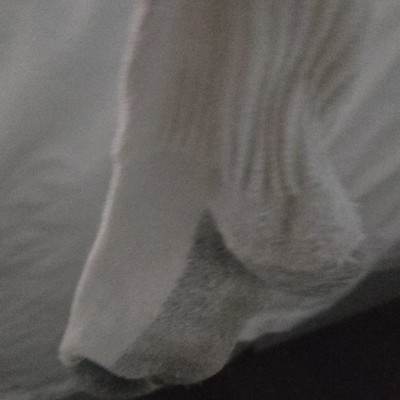 Ultra Rare 1 Of 1 Sock Limited Edition  Listing For 100,000