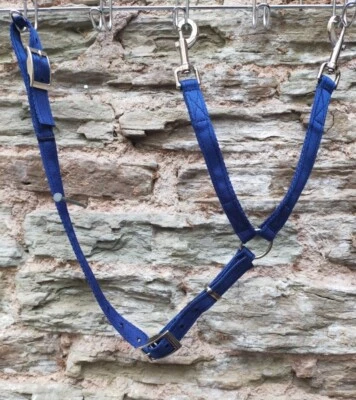 EQUIKITS DAISY REIN Luxuriöses KISSENNETZ. STOPPT PONY PFERD FRISST GRAS, Netz, Gurtband