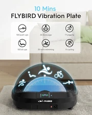 FLYBIRD Vibration Plate- 4D & Oscillation Two Types Vibration Platform, Whole &