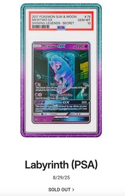 GradedGuard PSA Graded Card Case Guard Protector LABYRINTH Limited