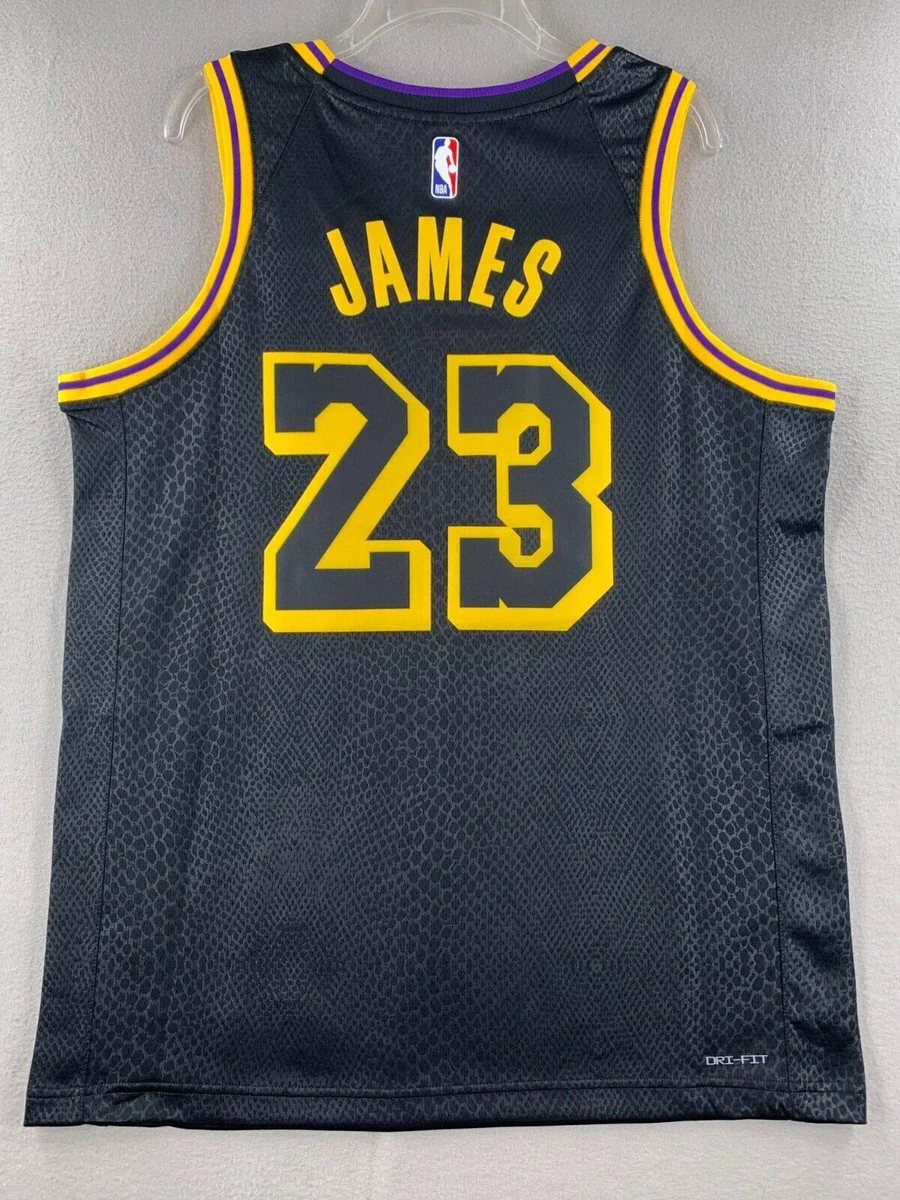 Nike LeBron James #23 Swingman Jersey Los Angeles Lakers NBA Mamba Size 52