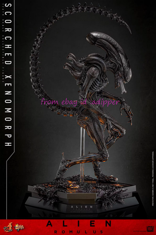Perfect Hot Toys Mms784 1/6 Alien: Romulus Scorched Xenomorph