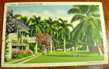 *1941 3 Cards, Florida Homes, Paradise , Cocoanut Tree