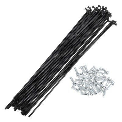 36er Set mit 14 Fahrradspeichen 173 mm aus schwarzem Kohlenstoffstahl