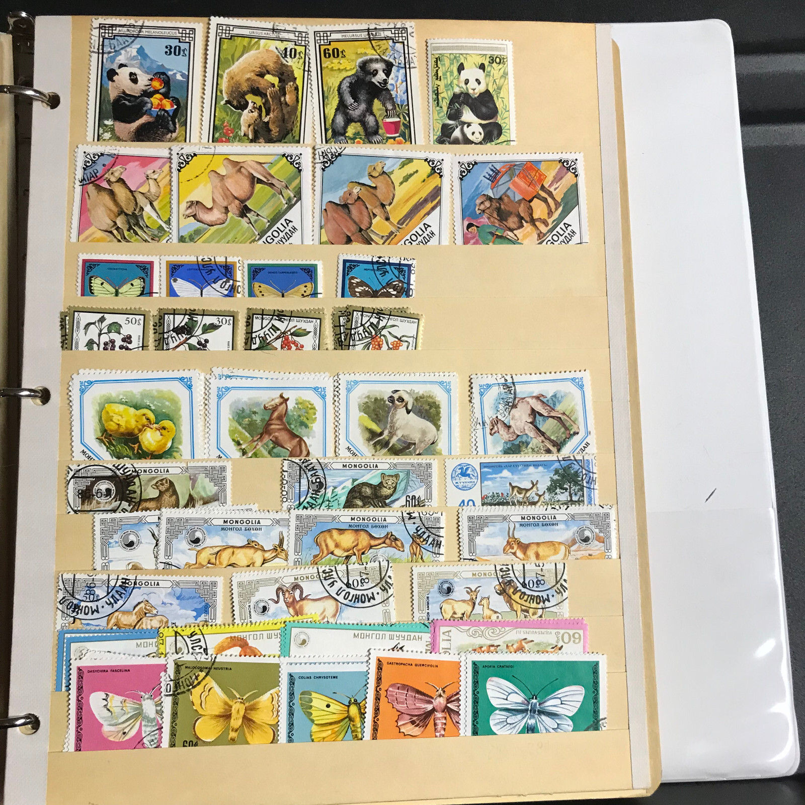 Picture 3 of 19