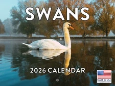 Swan Calendar 2026 Monthly Wall Calender 12 Month American Made In The USA