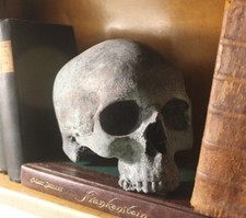 Human Skull Anatomical Medical Death Oddity T...