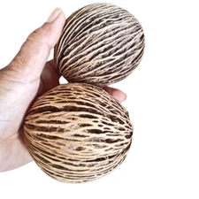 Home Decor Plant Pot Pong Pong Natural Garden Yard Decoration Outdoor 2pcs