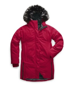 the north face defdown parka gtx