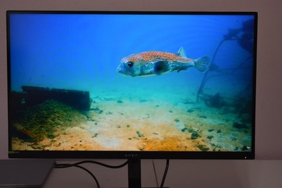 HP OMEN 27qs 27'' Gaming Monitor QHD 240Hz 1440p IPS FreeSync Tested