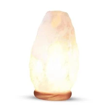  White Salt Crystal Lamp, Natural Salt Night Light, Hand Modern, Minimalist
