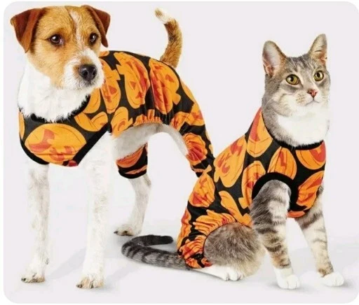 Matching halloween pajamas with dog sales