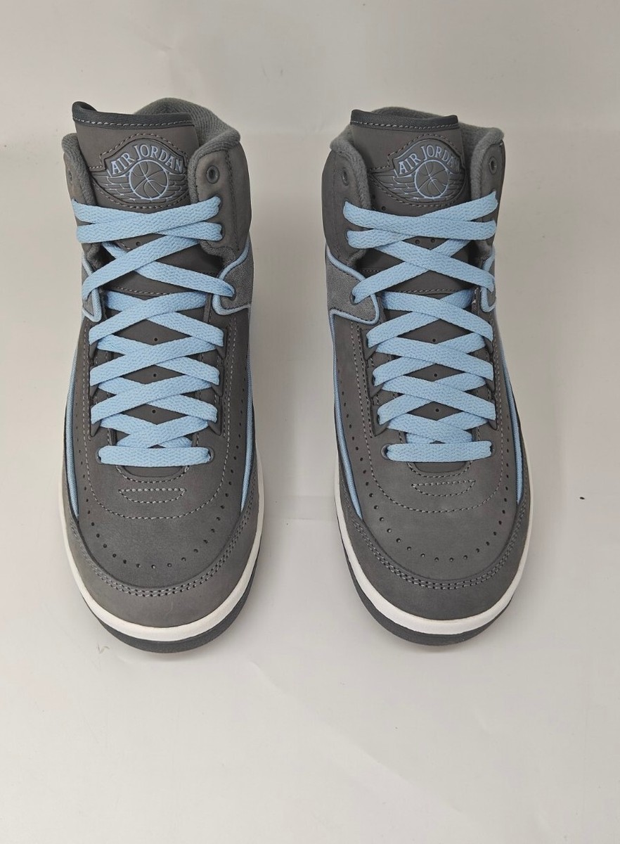 Air Jordan 2 Cool Grey Retro Women FB8871 041 | eBay