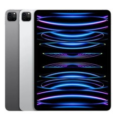 12.9-inch iPad Pro Wi-Fi  Cellular 1TB Space Gray 6th Generation 
