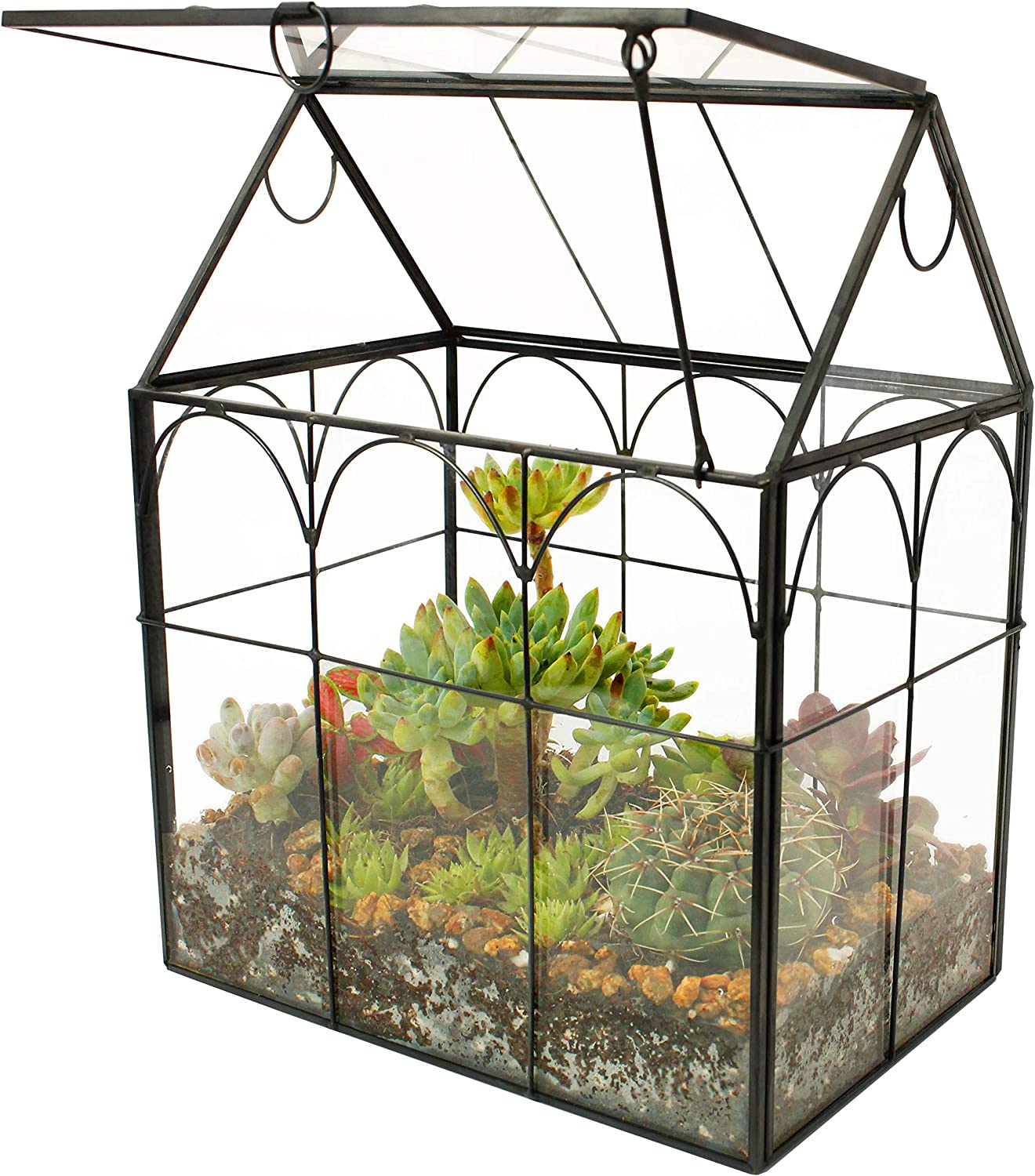 Glass Geometric Terrarium for Succulents Air Plants Home Office Decor