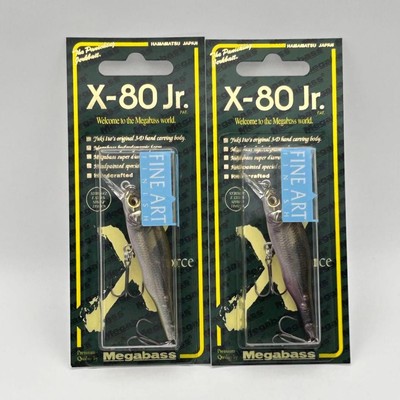 Megabass X-80 Jr. 2-piece set FA GHOST WAKASAGI / FA WAKASAGI Lures JAPAN NEW