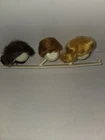 Vintage Original 1960s Mattel.barbie Doll Wig Trio