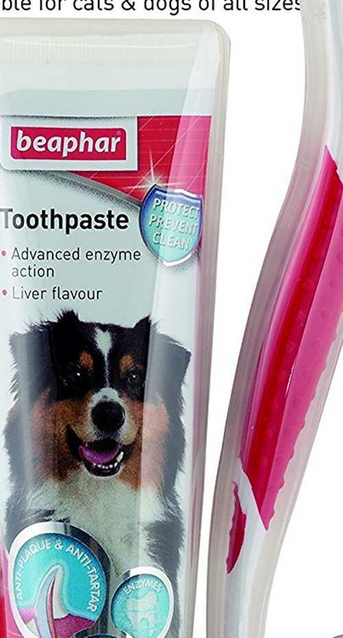beaphar toothbrush and toothpaste kit