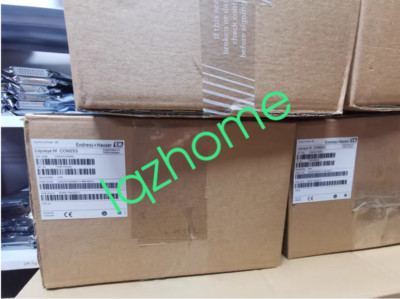 1PCS E+H Dissolved Oxygen Analyzer COM253-DX0005 new via FedEx or DHL