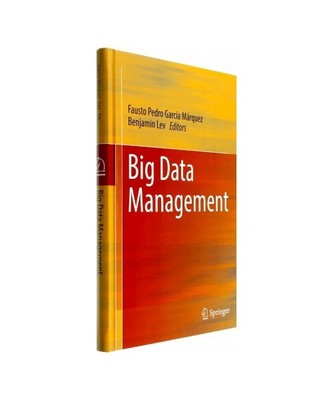 Big Data Management