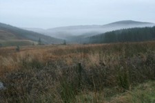 Photo 6x4 Early Morning Mist Over Capel Water Glass Rig  c2007