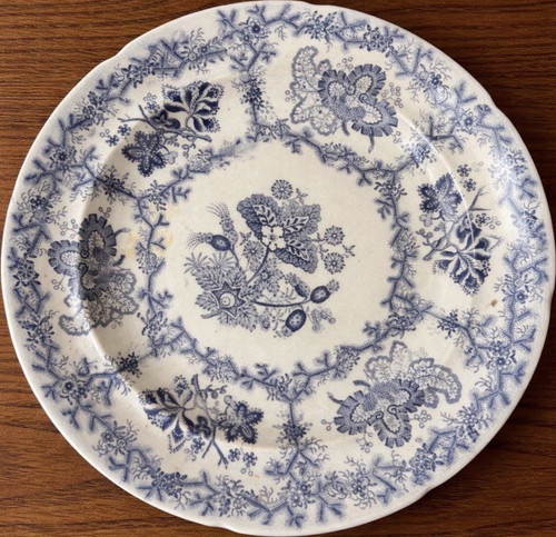 Stoneware Coral Border Plate Blue & White Floral Glossy Round ~9 in