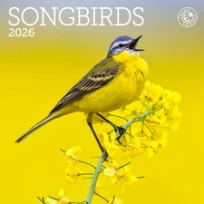 Ziga Media,  Songbirds 2026 Mini Wall Calendar, 7'' X 7'', 16-Month Calendar wit