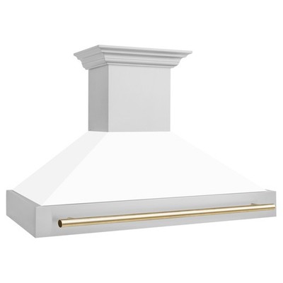 ZLINE 48'' STAINLESS STEEL WALL RANGE HOOD WHITE MATTE SHELL 8654STZ-WM48-G