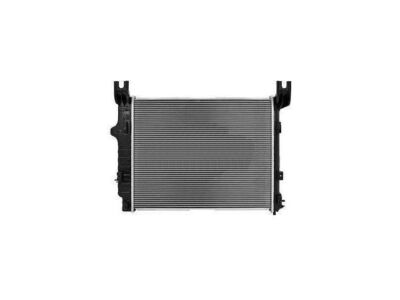 For 2000-2003 Dodge Durango Radiator 25526NX 2002 2001 | eBay