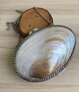 seashell clutch