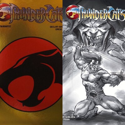 THUNDERCATS #1 Gold Symbol & Parrillo Variants (2 Comic Set) Bagged & Boarded