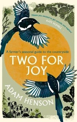 Two for Joy: The untold ways to enjoy ..., Henson, Adam