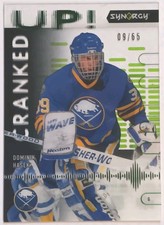 Dominik Hasek Cards, Rookie Cards and Autographed Memorabilia Guide 11